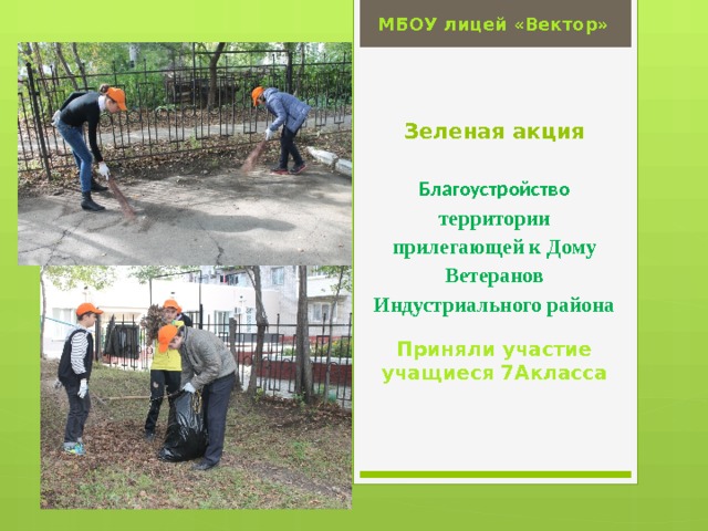 МБОУ лицей «Вектор» Вставка рисунка Зеленая акция   Благоустройство территории прилегающей к Дому Ветеранов Индустриального района Приняли участие учащиеся 7Акласса 