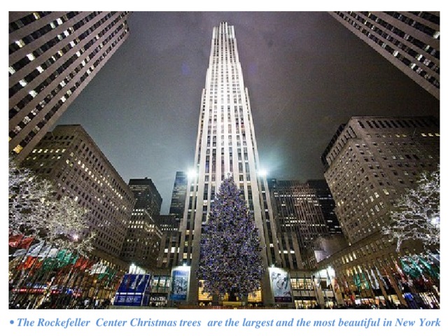 •  The Rockefeller Center Christmas trees are the largest and the most beautiful in New York 
