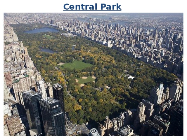 Central Park 