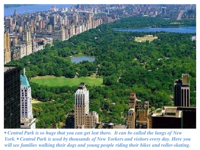 • Central Park is so huge that you can get lost there. It can be called the lungs of New York. • Central Park is used by thousands of New Yorkers and visitors every day. Here you will see families walking their dogs and young people riding their bikes and roller-skating. 