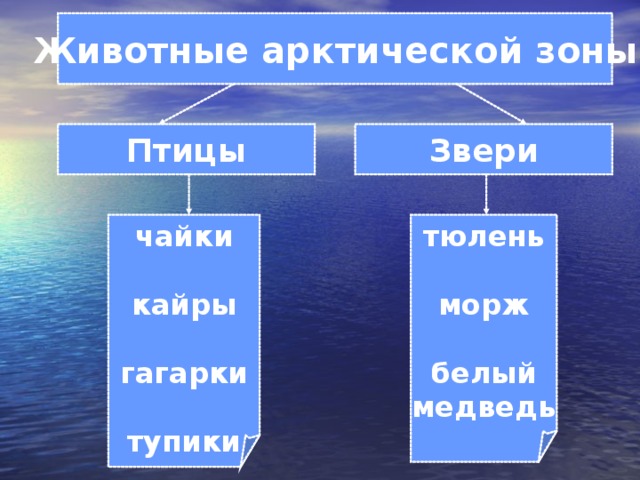 Новости МБДОУ МО Г.КРАСНОДАР "ДЕТСКИЙ САД № 19"