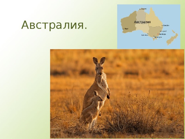 Австралия. 