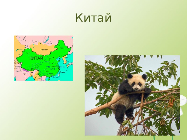 Китай 