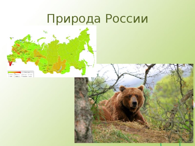 Природа России 