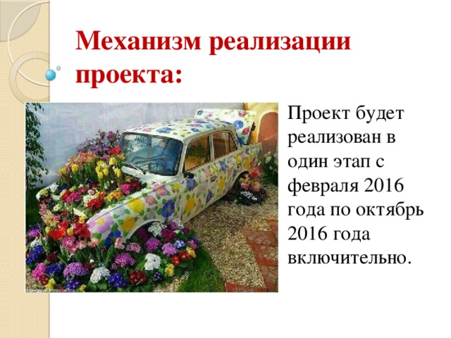 Механизм реализации проекта: Проект будет реализован в один этап с февраля 2016 года по октябрь 2016 года включительно. 