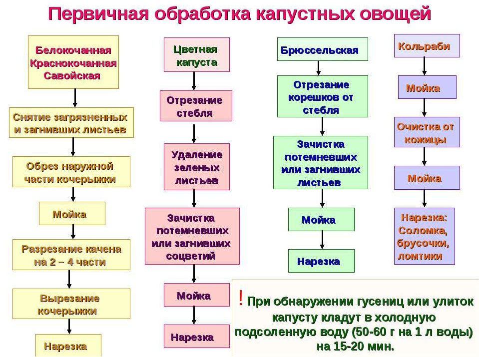 Блок -схемы: Первичная обработка овощей