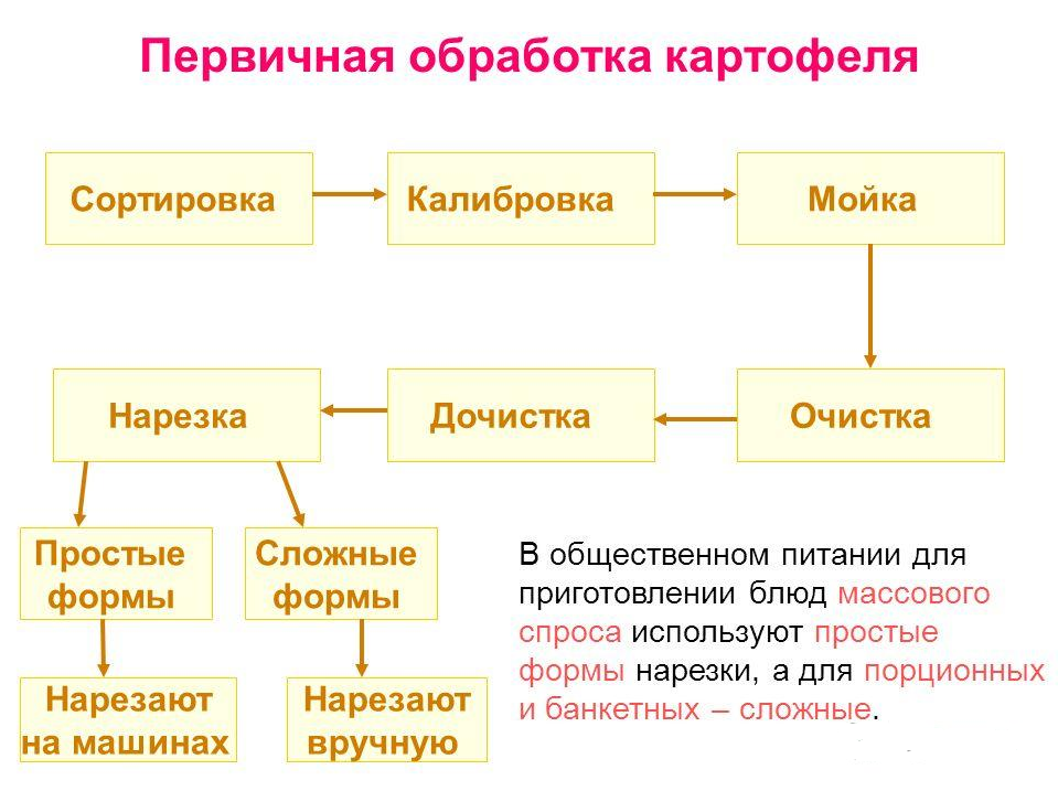 Составьте технологическую схему обработки корнеплодов