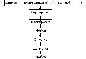Составьте технологическую схему обработки корнеплодов