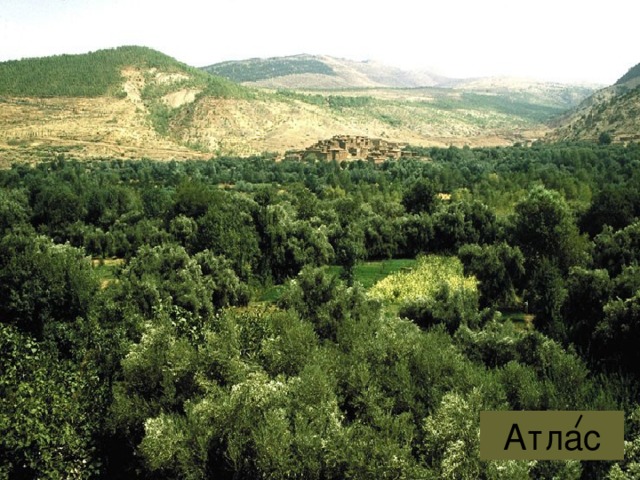 Атлас