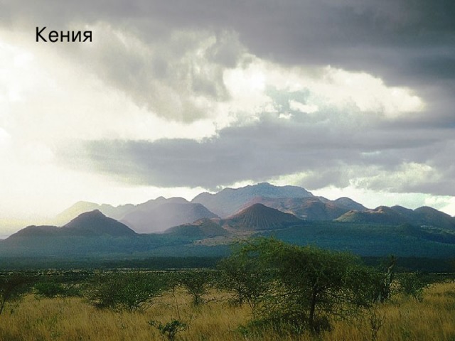 Кения