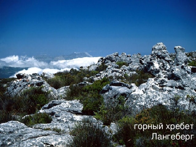 горный хребет Лангеберг