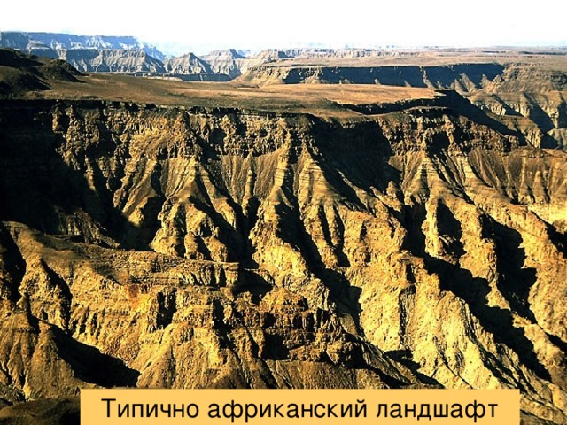 Типично африканский ландшафт