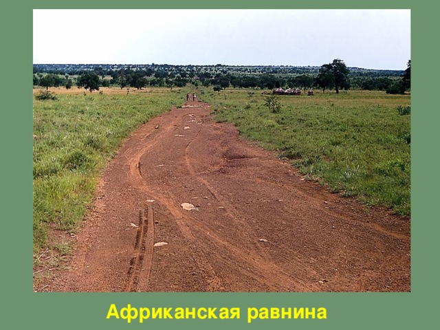 равнина Африканская равнина