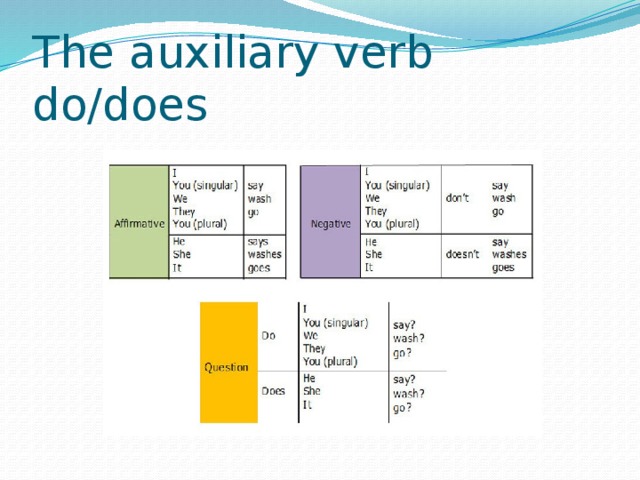 The auxiliary verb do/does 