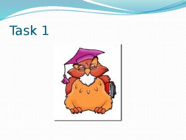 Task 1 
