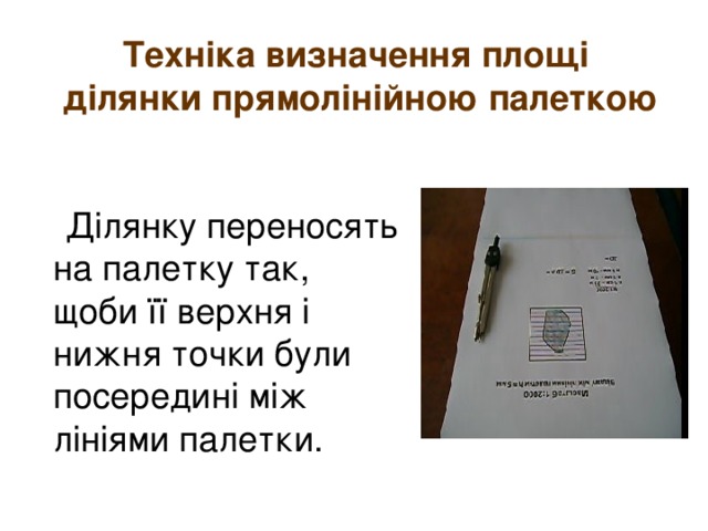 Техніка визначення площі  ділянки прямолінійною палеткою  Ділянку переносять на палетку так, щоби її верхня і нижня точки були посередині між лініями палетки. 