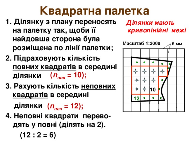 Квадратна палетка 1. Ділянку з плану переносять на палетку так, щоби її найдовша сторона була розміщена по лінії палетки; 2. Підраховують кількість повних квадратів в середині ділянки 3. Рахують кількість неповних квадратів в середині  ділянки 4. Неповні квадрати перево-дять у повні (ділять на 2).  (12 : 2 = 6) Ділянки мають  криволінійні межі ( n пов = 10); 10 12 ( n неп  = 12); 