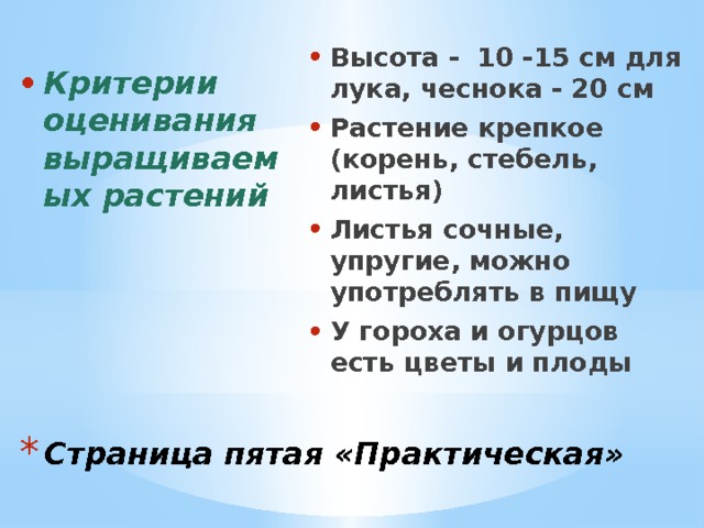 Высота - 10 -15 см для лука, чеснока - 20 см Растение крепкое (корень, стебель, листья) Листья сочные, упругие, можно употреблять в пищу У гороха и огурцов есть цветы и плоды Критерии оценивания выращиваемых растений Страница пятая «Практическая» 