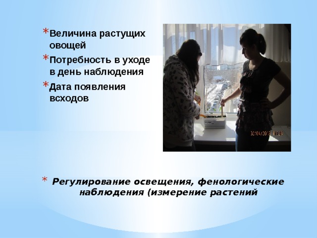 Величина растущих овощей Потребность в уходе в день наблюдения Дата появления всходов Регулирование освещения, фенологические наблюдения (измерение растений 