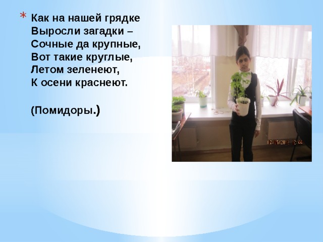 Как на нашей грядке  Выросли загадки –  Сочные да крупные,  Вот такие круглые,  Летом зеленеют,  К осени краснеют.     (Помидоры .)   