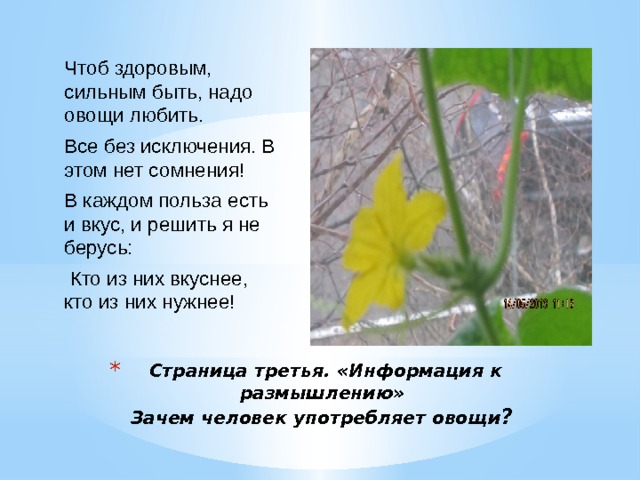 Чтоб здоровым, сильным быть, надо овощи любить. Все без исключения. В этом нет сомнения! В каждом польза есть и вкус, и решить я не берусь:  Кто из них вкуснее, кто из них нужнее! Страница третья. «Информация к размышлению»  Зачем человек употребляет овощи ? 