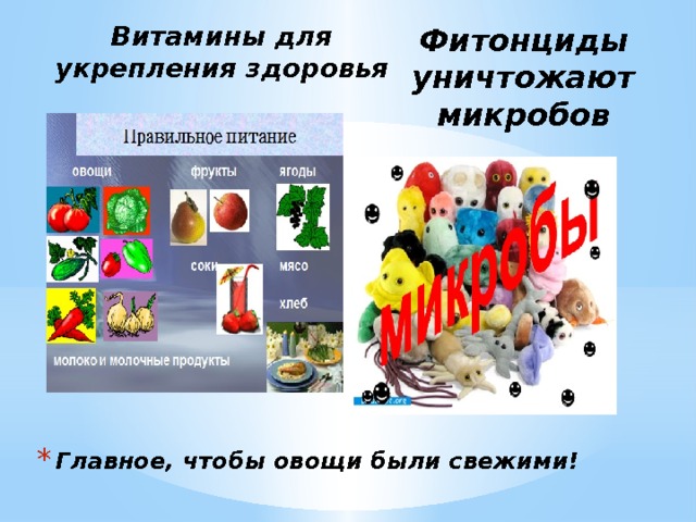 Фитонциды уничтожают микробов Витамины для укрепления здоровья Главное, чтобы овощи были свежими! 