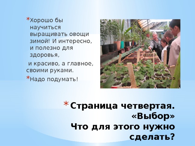 Хорошо бы научиться выращивать овощи зимой! И интересно, и полезно для здоровья,  и красиво, а главное, своими руками. Надо подумать! Страница четвертая. «Выбор»  Что для этого нужно сделать? 