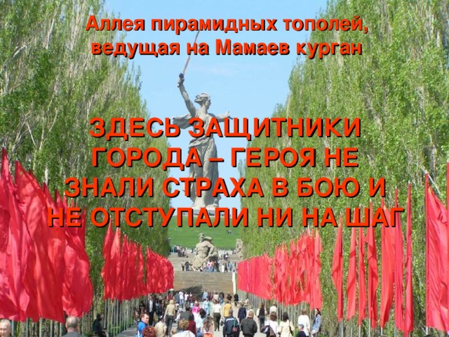 Аллея пирамидных тополей, ведущая на Мамаев курган ЗДЕСЬ ЗАЩИТНИКИ ГОРОДА – ГЕРОЯ НЕ ЗНАЛИ СТРАХА В БОЮ И НЕ ОТСТУПАЛИ НИ НА ШАГ 
