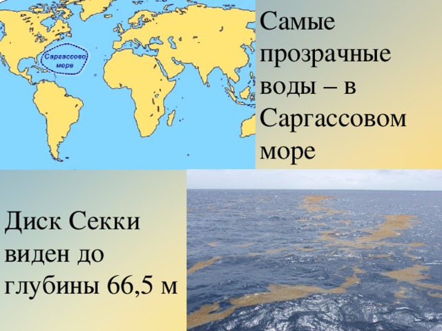 Самые прозрачные воды – в Саргассовом море Диск Секки виден до глубины 66,5 м 