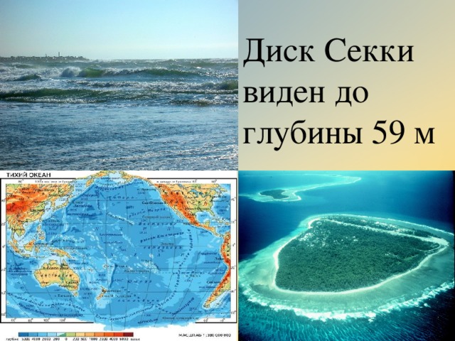 Диск Секки виден до глубины 59 м 