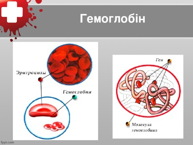 Гемоглобін
