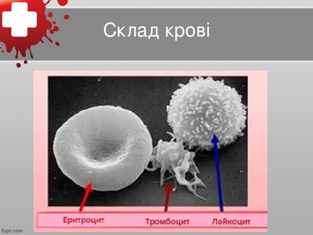 Склад крові