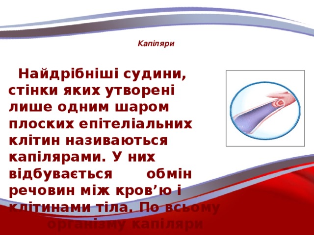 Капіляри  Найдрібніші судини, стінки яких утворені лише одним шаром плоских епітеліальних клітин називаються капілярами. У них відбувається обмін речовин між кров’ю і клітинами тіла. По всьому організму капіляри утворюють капілярні сітки.
