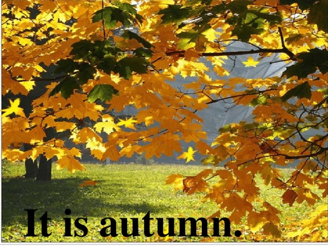 It is autumn. 