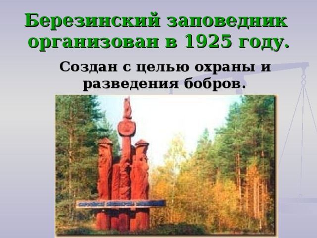 Березинский заповедник  организован в 1925 году.  Создан с целью охраны и разведения бобров. 