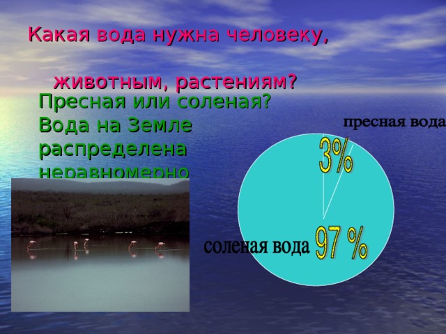 Какая вода нужна человеку,  животным, растениям? Пресная или соленая? Вода на Земле распределена неравномерно 