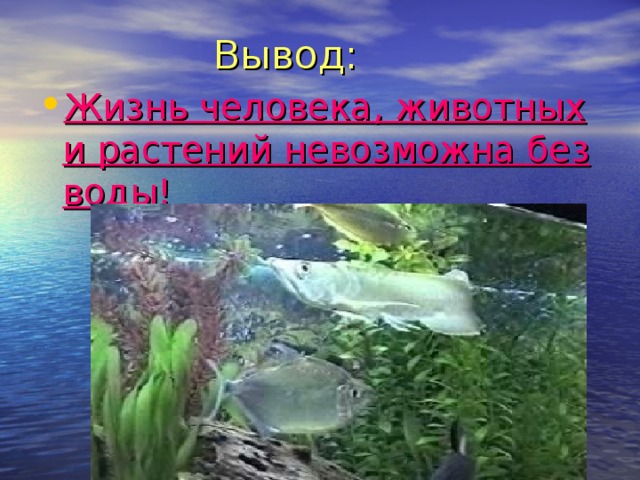  Вывод: Жизнь человека, животных и растений невозможна без воды! 