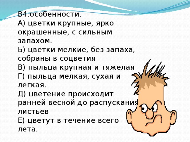 В4.особенности. А) цветки крупные, ярко окрашенные, с сильным запахом. Б) цветки мелкие, без запаха, собраны в соцветия В) пыльца крупная и тяжелая Г) пыльца мелкая, сухая и легкая. Д) цветение происходит ранней весной до распускания листьев Е) цветут в течение всего лета. Тип опыления: ветром  насекомыми.  