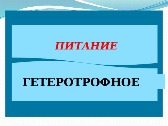  ПИТАНИЕ ГЕТЕРОТРОФНОЕ 