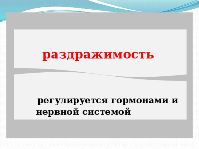 раздражимость   регулируется гормонами и  нервной системой 