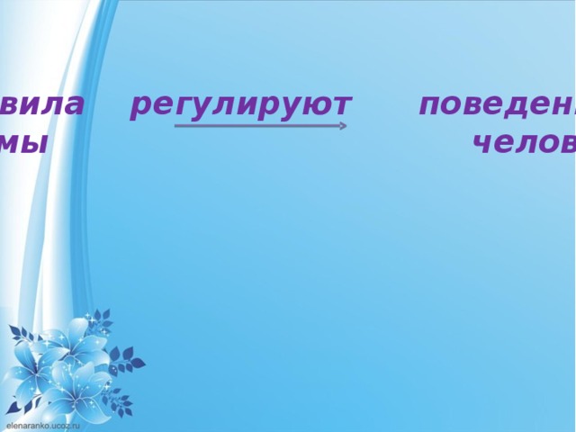 Правила регулируют поведение нормы человека 