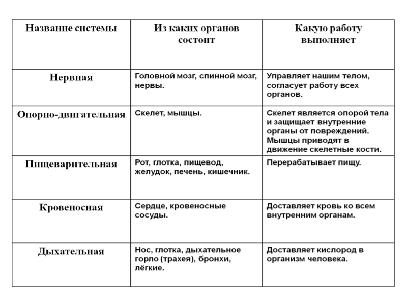 Предложите пример возможных изменений. Таблица по биологии система органов органы функции. Система органов-->органы системы-->функции системы.. Функции систем органов человека. Таблица по биологии название системы органов органы и функции.