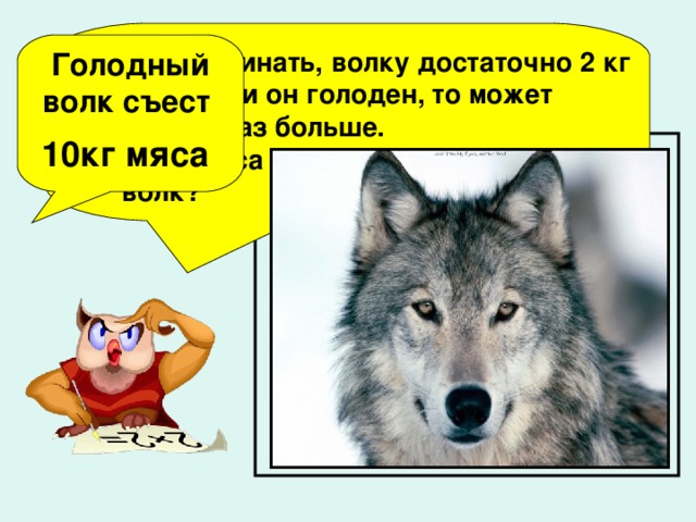 У какого дерева самый звонкий голос? Самый звонкий голос у ели.  40 : 8 + 15 =  5 х 6 – 4 =  35 : 5+ 5 х 5 =  20 26 У березы – 27 У клена – 8 У ели - 32 32 