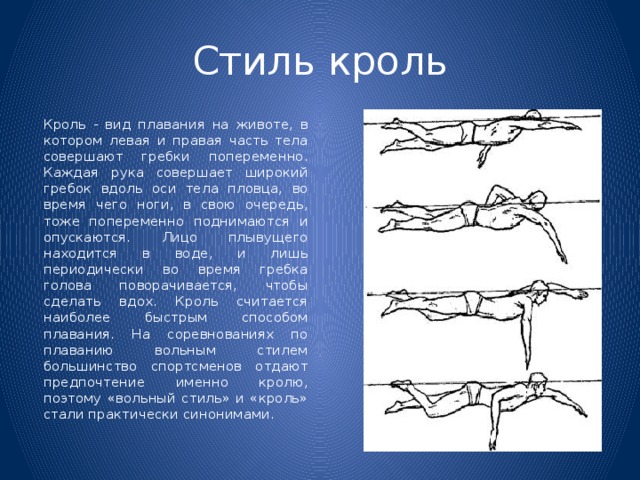 Стиль кроль   Кроль - вид плавания на животе, в котором левая и правая часть тела совершают гребки попеременно. Каждая рука совершает широкий гребок вдоль оси тела пловца, во время чего ноги, в свою очередь, тоже попеременно поднимаются и опускаются. Лицо плывущего находится в воде, и лишь периодически во время гребка голова поворачивается, чтобы сделать вдох. Кроль считается наиболее быстрым способом плавания. На соревнованиях по плаванию вольным стилем большинство спортсменов отдают предпочтение именно кролю, поэтому «вольный стиль» и «кроль» стали практически синонимами.  
