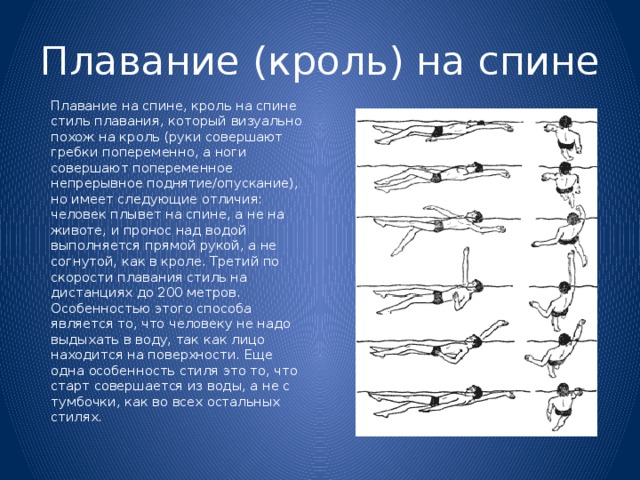 План конспект по плаванию кроль на груди