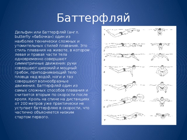 Баттерфляй   Дельфин или Баттерфляй (англ. butterfly «бабочка») один из наиболее технически сложных и утомительных стилей плавания. Это стиль плавания на животе, в котором левая и правая части тела одновременно совершают симметричные движения: руки совершают широкий и мощный гребок, приподнимающий тело пловца над водой, ноги и таз совершают волнообразные движения. Баттерфляй один из самых сложных способов плавания и считается вторым по скорости после кроля. Кроль на спине на дистанциях от 200 метров уже практически не уступает баттерфляю в скорости, что частично объясняется низким стартом первого.  