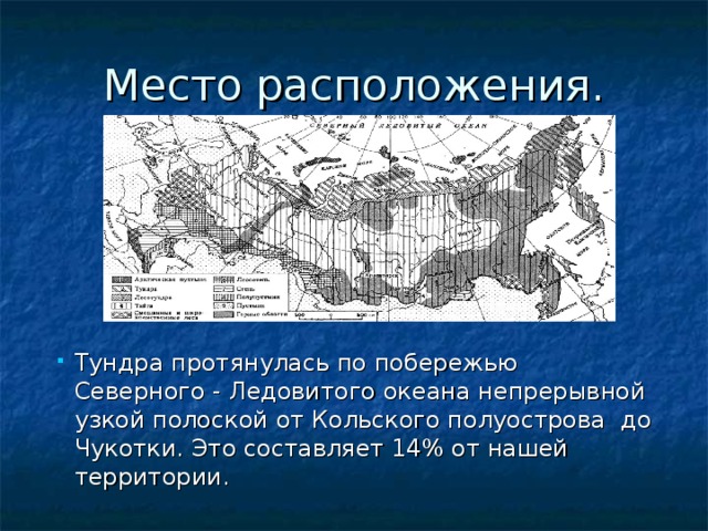 Место расположения. Тундра протянулась по побережью  Северного - Ледовитого океана непрерывной узкой полоской от Кольского полуострова до Чукотки. Это составляет 14% от нашей территории.  Тундра протянулась по побережью  Северного - Ледовитого океана непрерывной узкой полоской от Кольского полуострова до Чукотки. Это составляет 14% от нашей территории.  Тундра протянулась по побережью  Северного - Ледовитого океана непрерывной узкой полоской от Кольского полуострова до Чукотки. Это составляет 14% от нашей территории.  Тундра протянулась по побережью  Северного - Ледовитого океана непрерывной узкой полоской от Кольского полуострова до Чукотки. Это составляет 14% от нашей территории.  Тундра протянулась по побережью  Северного - Ледовитого океана непрерывной узкой полоской от Кольского полуострова до Чукотки. Это составляет 14% от нашей территории.  