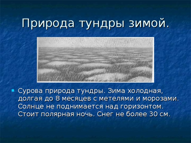 Природа тундры зимой. Сурова природа тундры. Зима холодная, долгая до 8 месяцев с метелями и морозами. Солнце не поднимается над горизонтом. Стоит полярная ночь. Снег не более 30 см. 