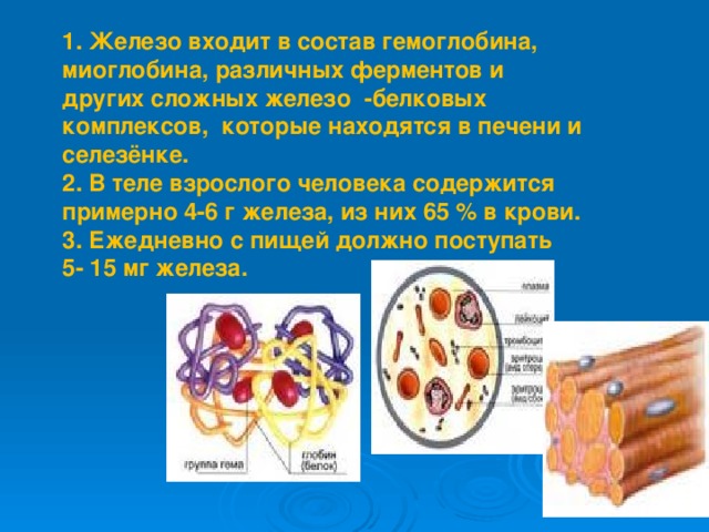 1. Железо входит в состав гемоглобина, миоглобина, различных ферментов и других сложных железо -белковых комплексов, которые находятся в печени и селезёнке. 2. В теле взрослого человека содержится примерно 4-6 г железа, из них 65 % в крови. 3. Ежедневно с пищей должно поступать 5- 15 мг железа. 