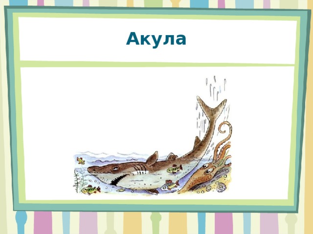 Акула